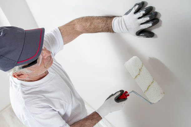 Best Real Estate Mold Inspection  in Nd Lake, WI