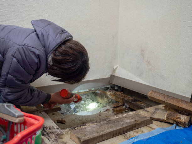 Best HVAC Mold Inspection and Cleaning  in Nd Lake, WI