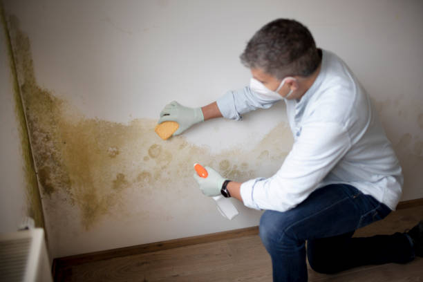 Best Dehumidification Services  in Nd Lake, WI