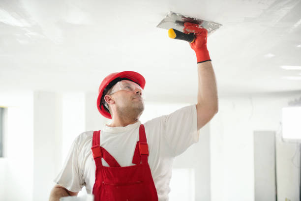 Best Real Estate Mold Inspection  in Nd Lake, WI