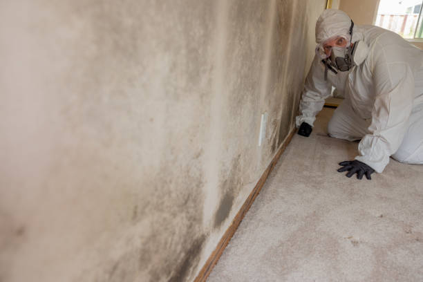 Forensic Mold Investigation in Wind Lake, WI