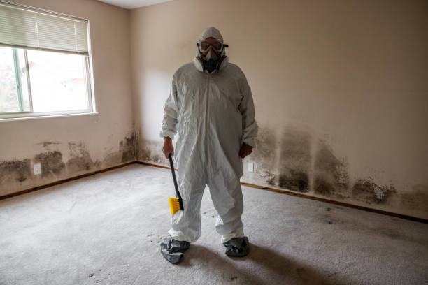 Best Air Quality Testing for Mold Spores  in Nd Lake, WI